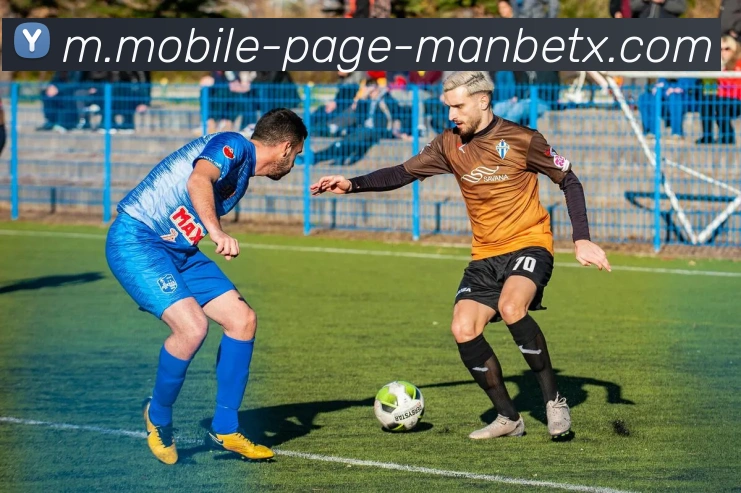 万博体育平台生态图