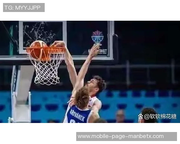 历史首次中锋对决约基奇与申京同场砍下30三双精彩瞬间回顾