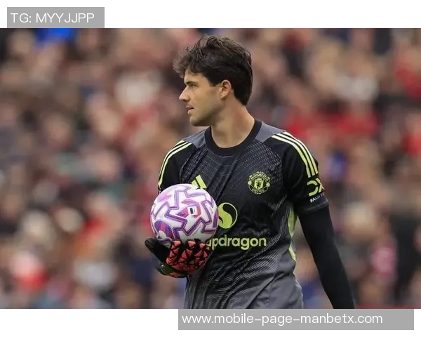 舒梅切尔赞拉门斯年轻却成熟表现出色攻防转换果断带来安全感