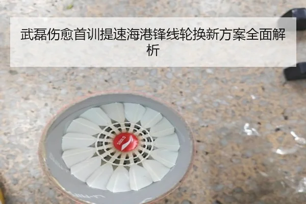 武磊伤愈首训提速海港锋线轮换新方案全面解析 | ManBetX
